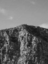 preview bw