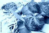 preview cold