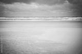 preview bw