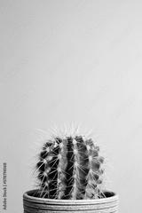 preview bw