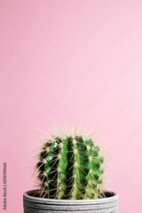 preview original