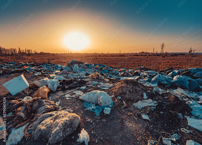 image to crop