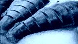 preview cold