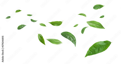 image to crop
