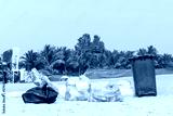 preview cold