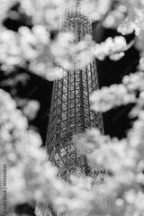 preview bw