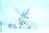 preview cold