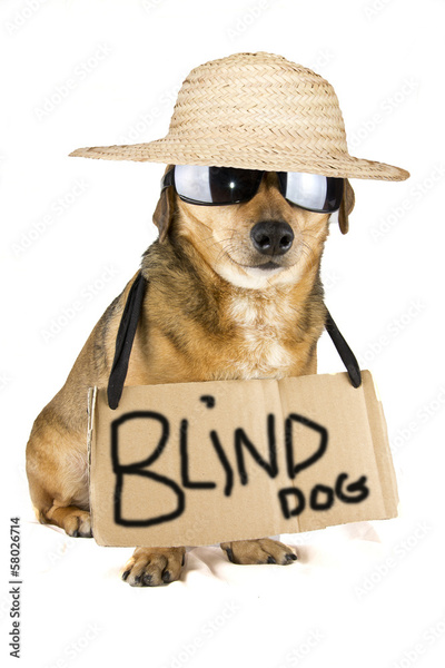 image to crop