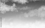 preview bw