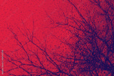 preview original
