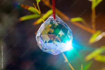 image to crop