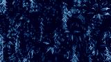 preview cold