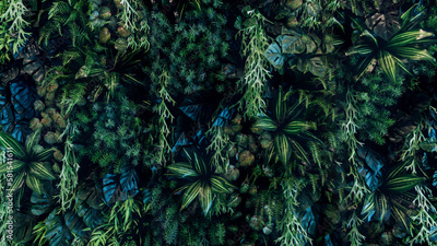 image to crop