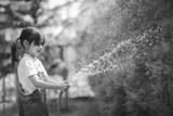 preview bw