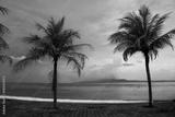 preview bw