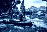 preview cold