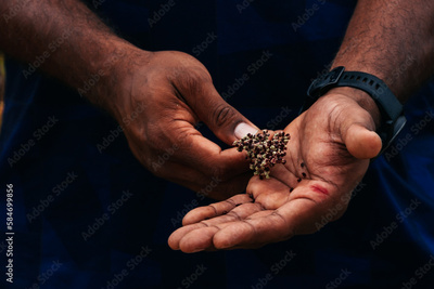 image to crop