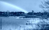 preview cold
