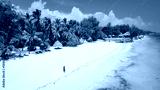 preview cold
