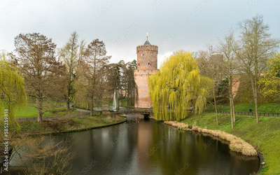 image to crop