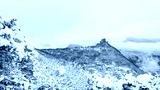 preview cold