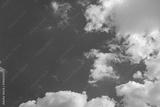 preview bw