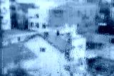 preview cold