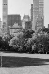 preview bw