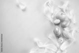 preview bw