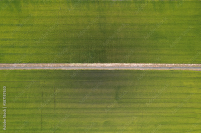 image to crop