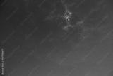 preview bw