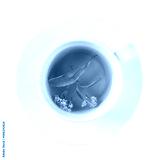 preview cold