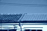 preview cold