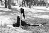 preview bw