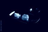 preview cold