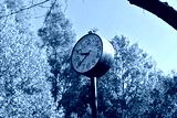 preview cold