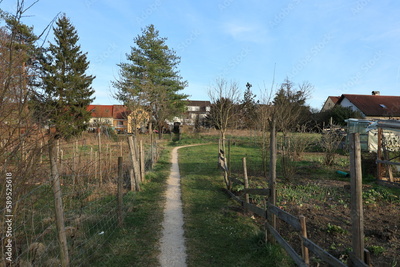 image to crop