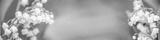 preview bw