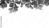 preview bw