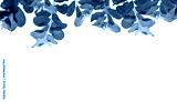 preview cold