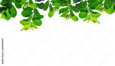 image to crop
