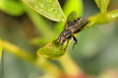 image to crop