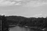 preview bw