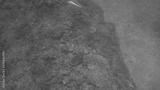 preview bw