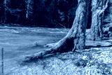 preview cold