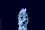 preview cold