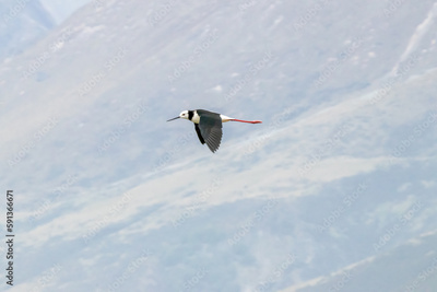 image to crop