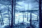 preview cold
