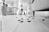 preview bw
