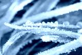 preview cold
